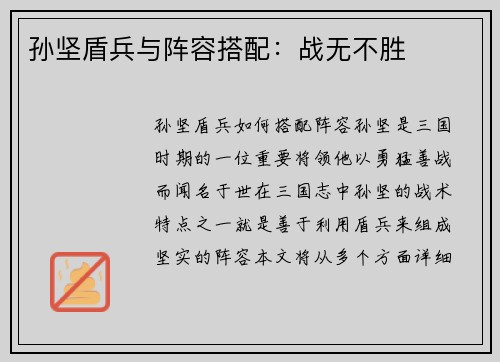 孙坚盾兵与阵容搭配：战无不胜